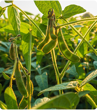 Self propelled sprayer designed for durability